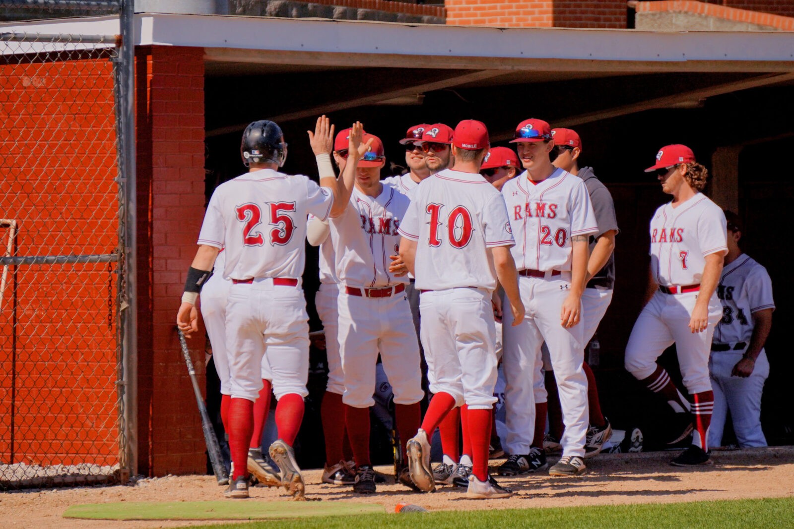UM Baseball