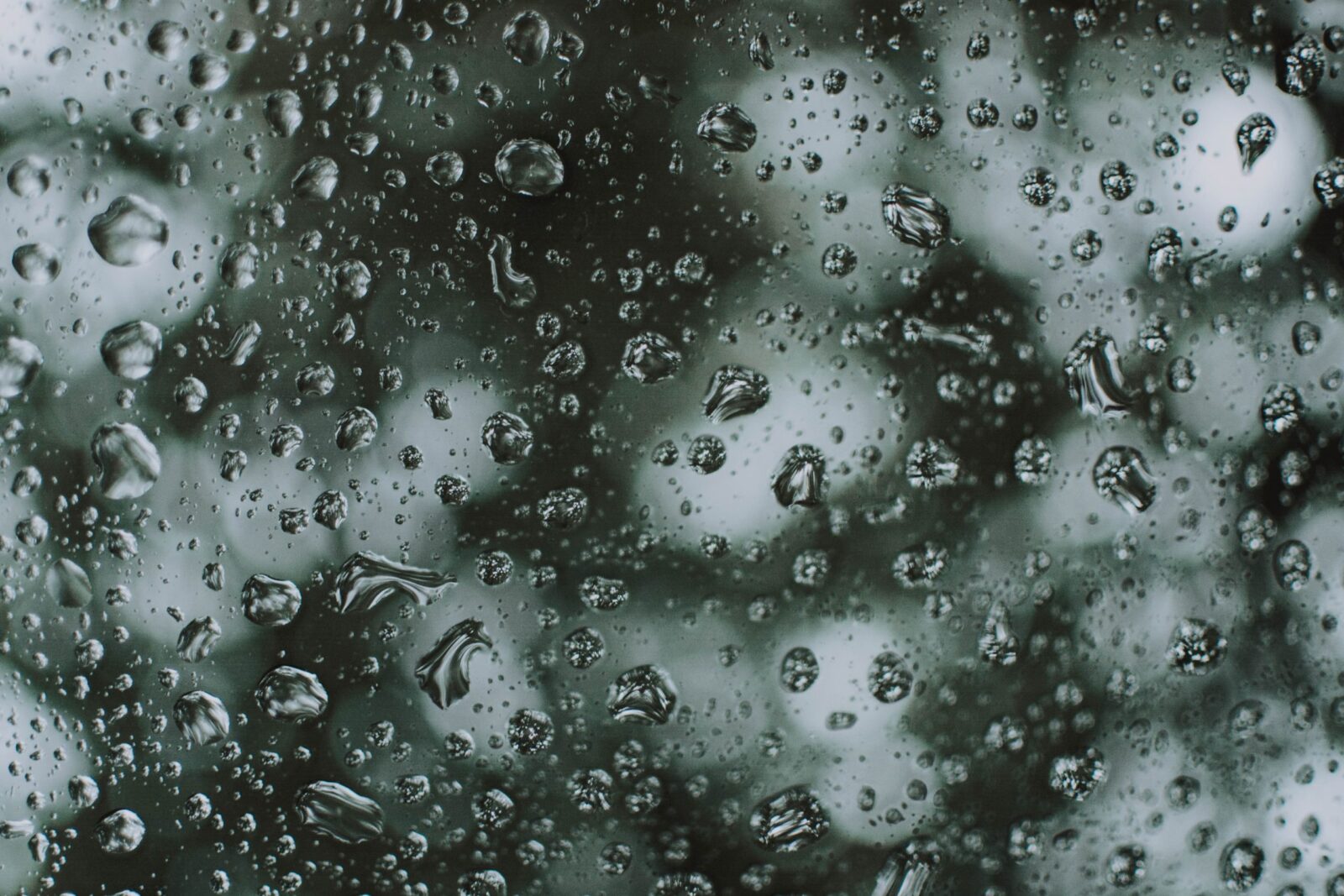 Advice for a Rainy Day at College