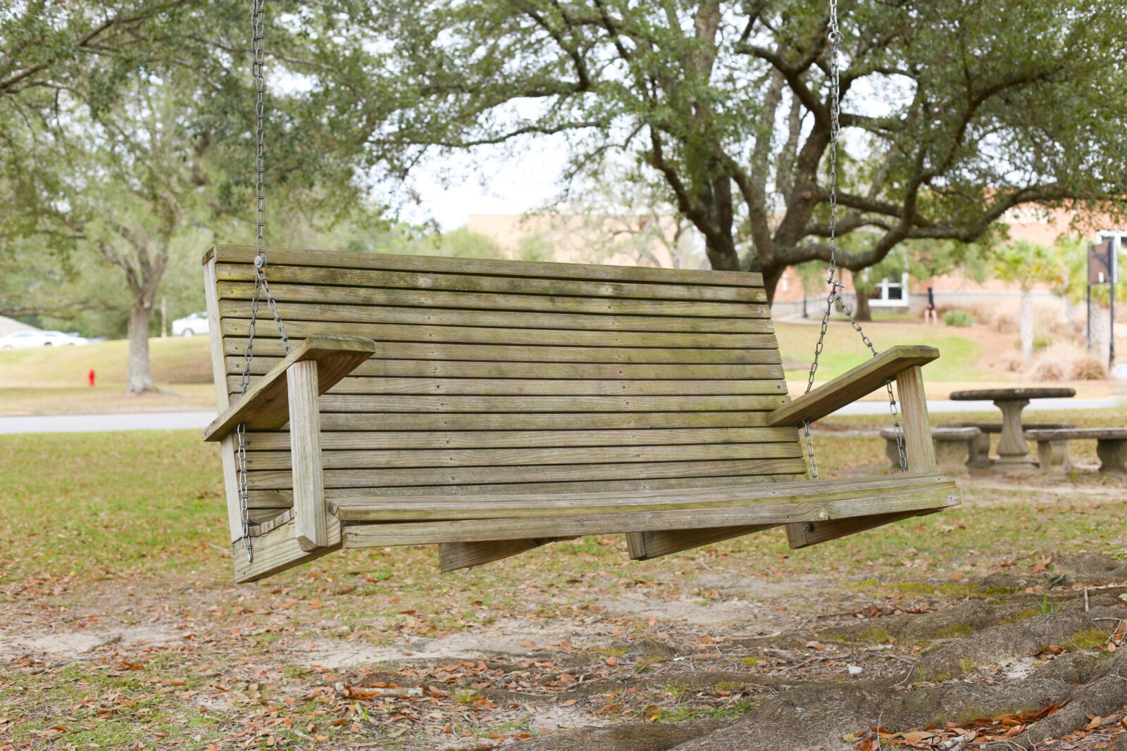 Campus Swing