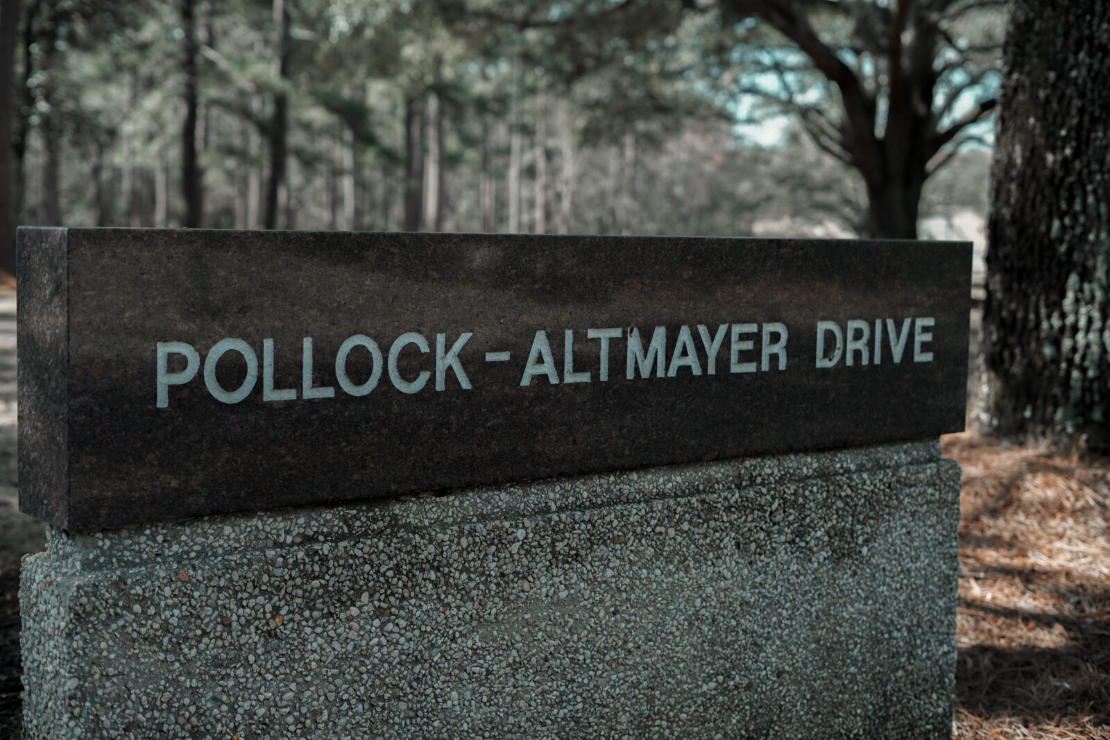 Pollock-Altmayer Drive Sign