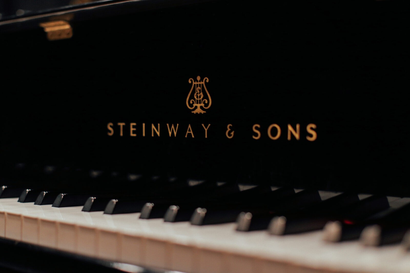 Steinway Campaign