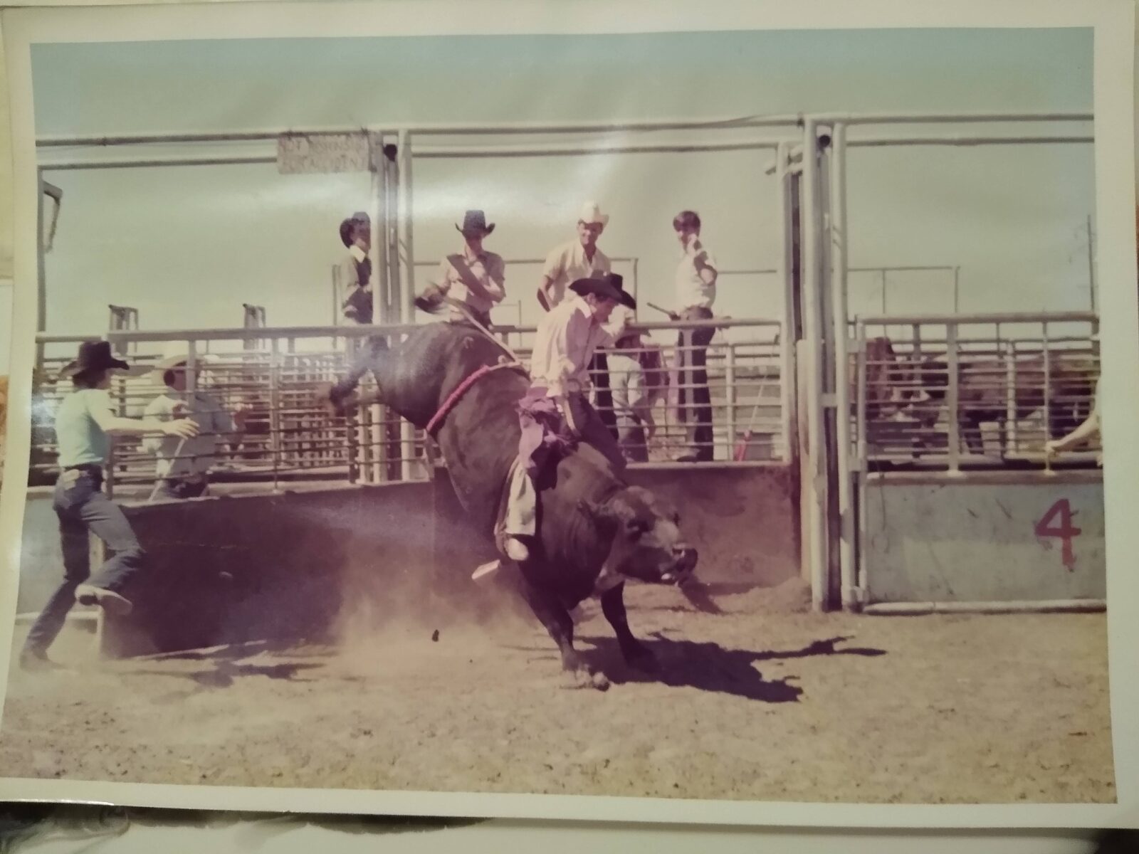 Randy Craig Bull