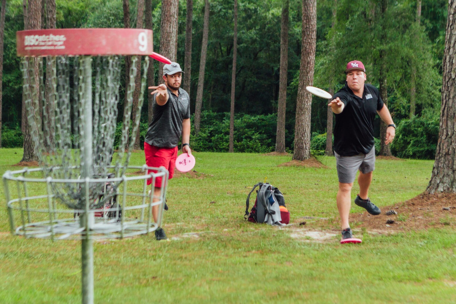 disc golf