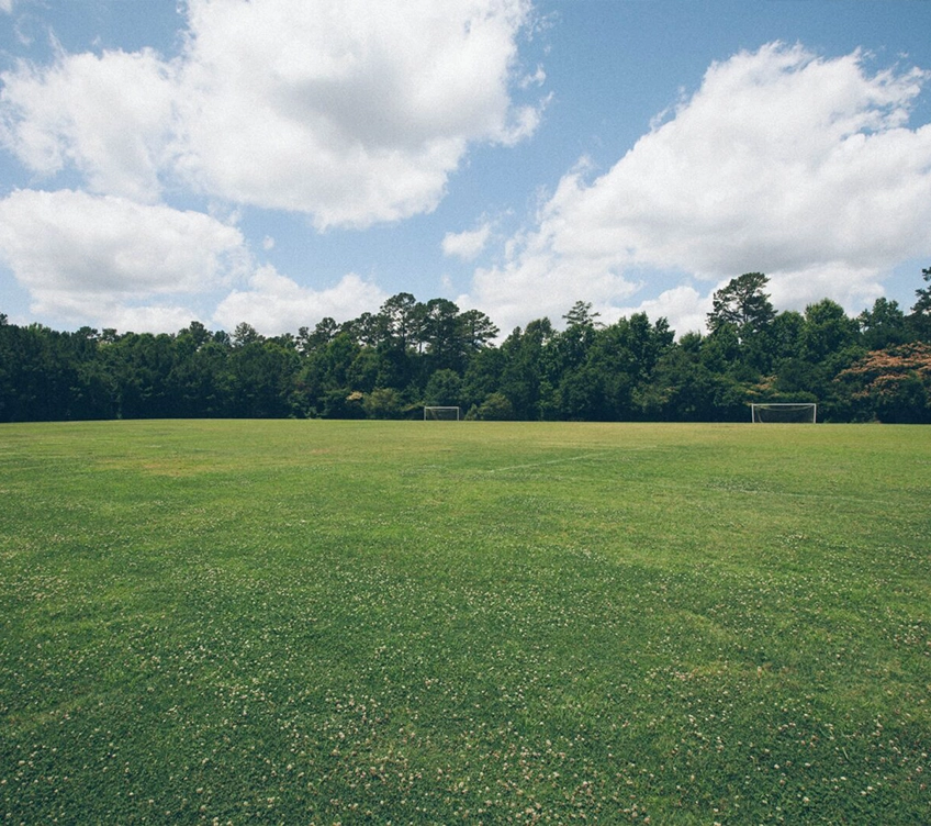 field